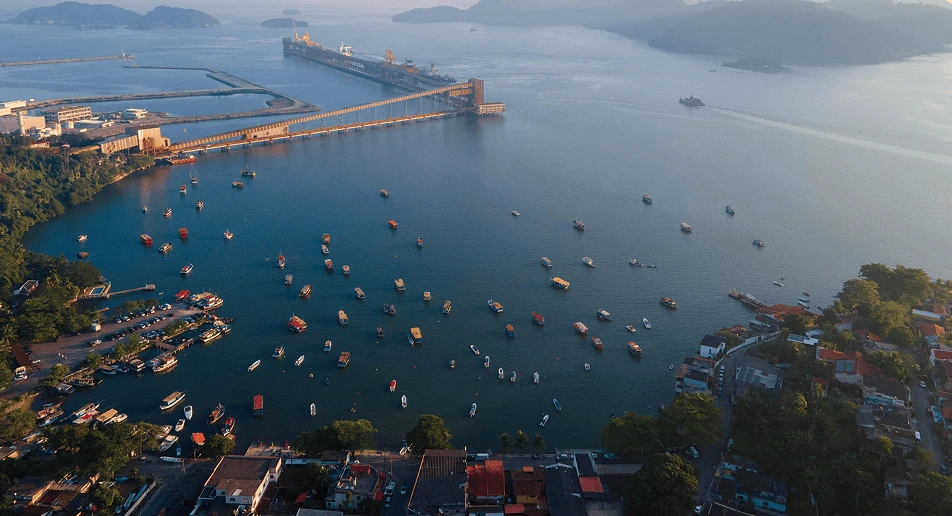 background-video-1.webp